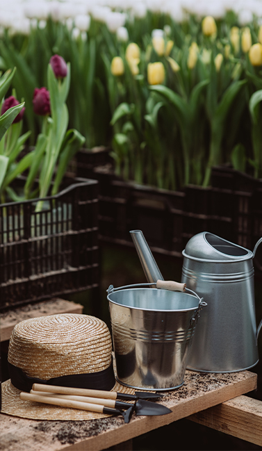 Garden product category